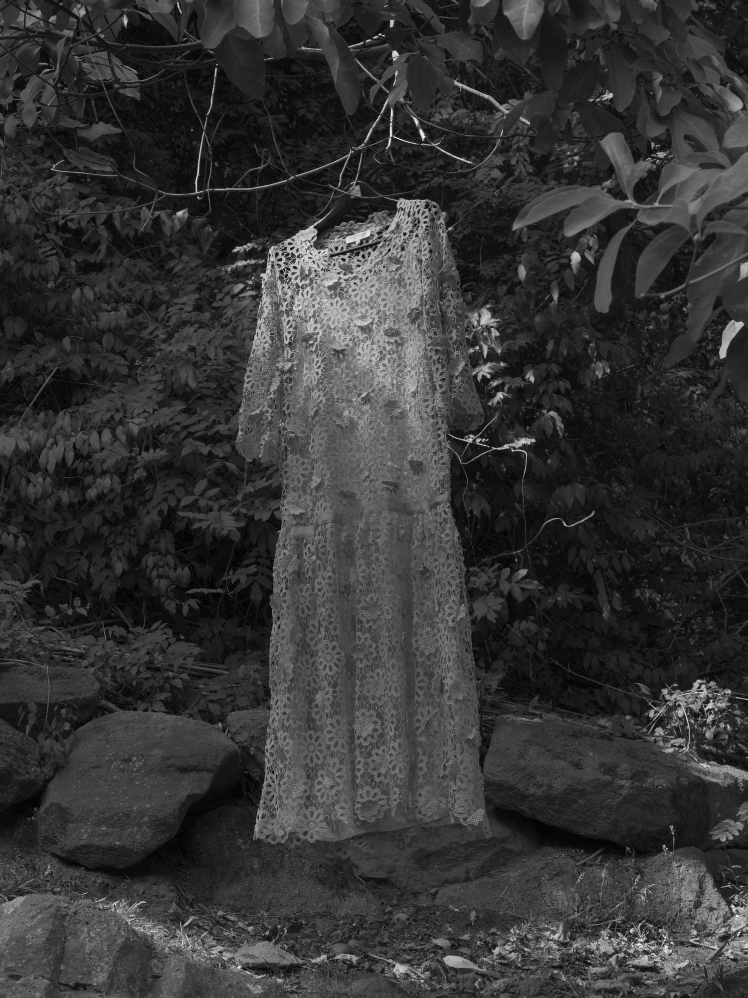 DSCF3928-Edit